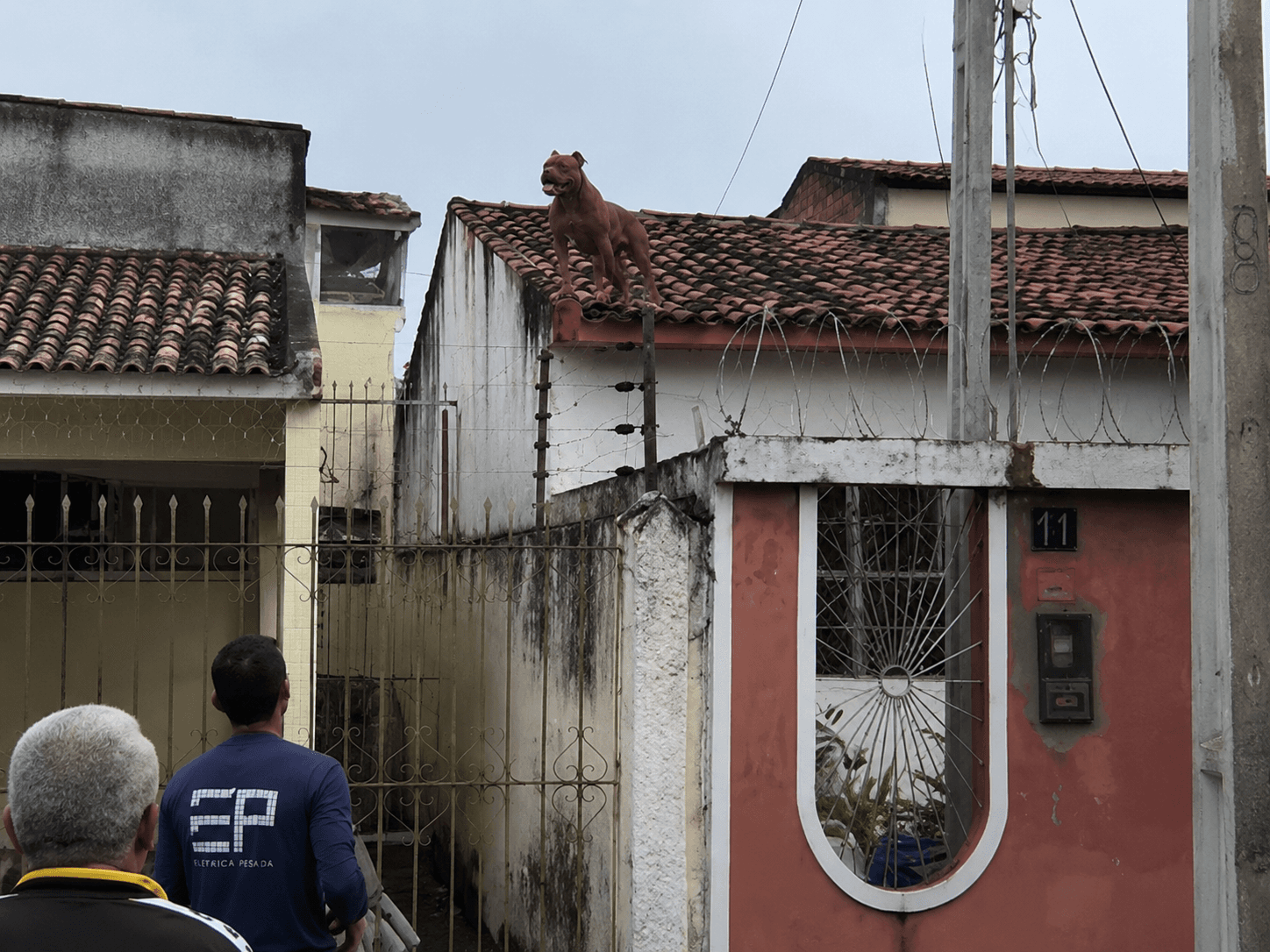 Imagem: Reprodução 
