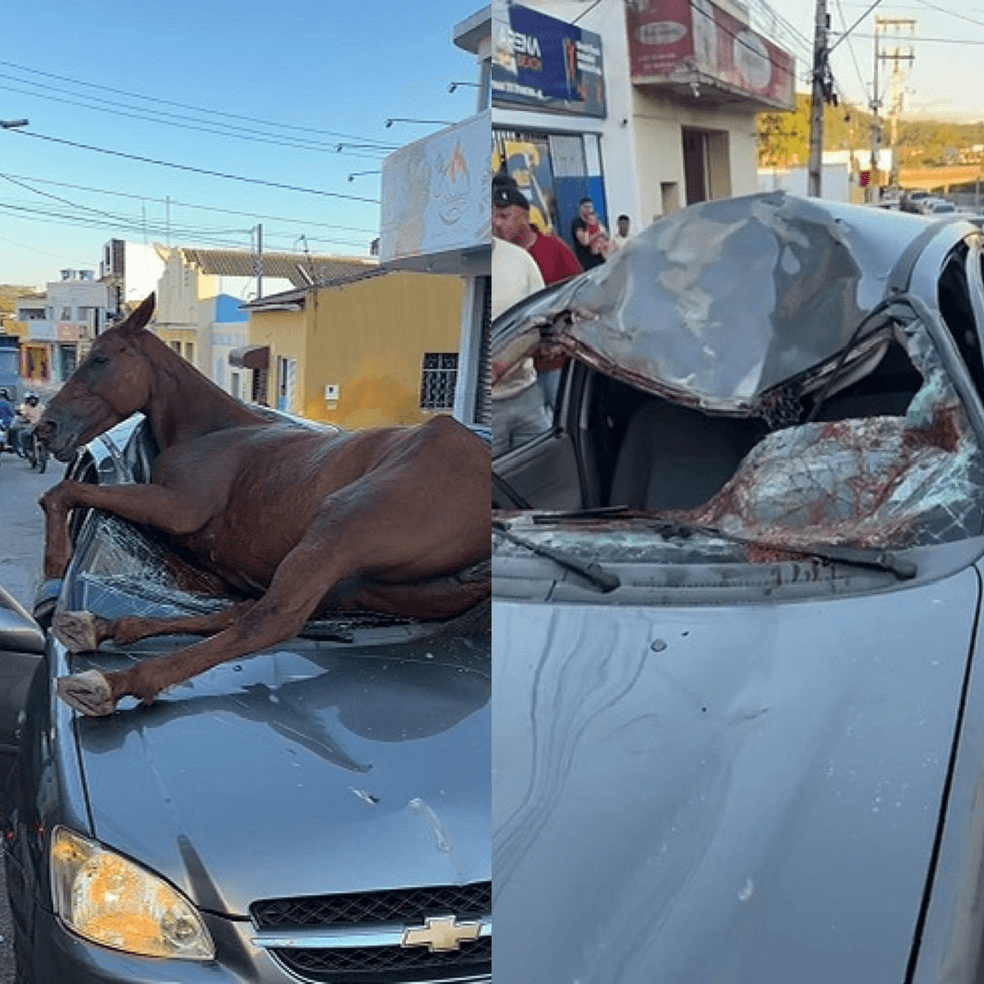 Foto: Reprodução/Vídeo