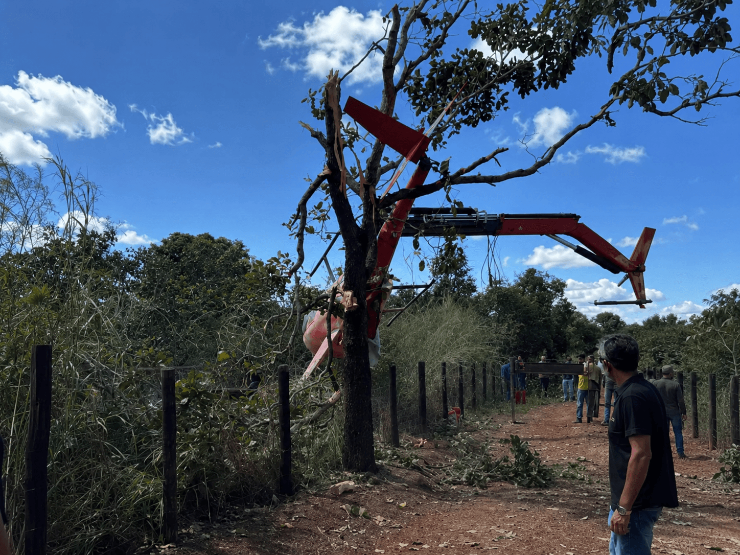 Imagem: Portal ChicoSabeTudo 