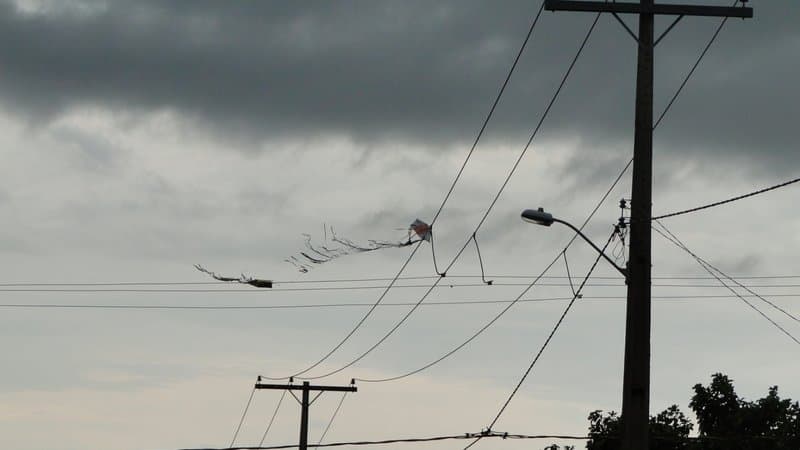 Pipa presa em fios da rede elétrica em área urbana