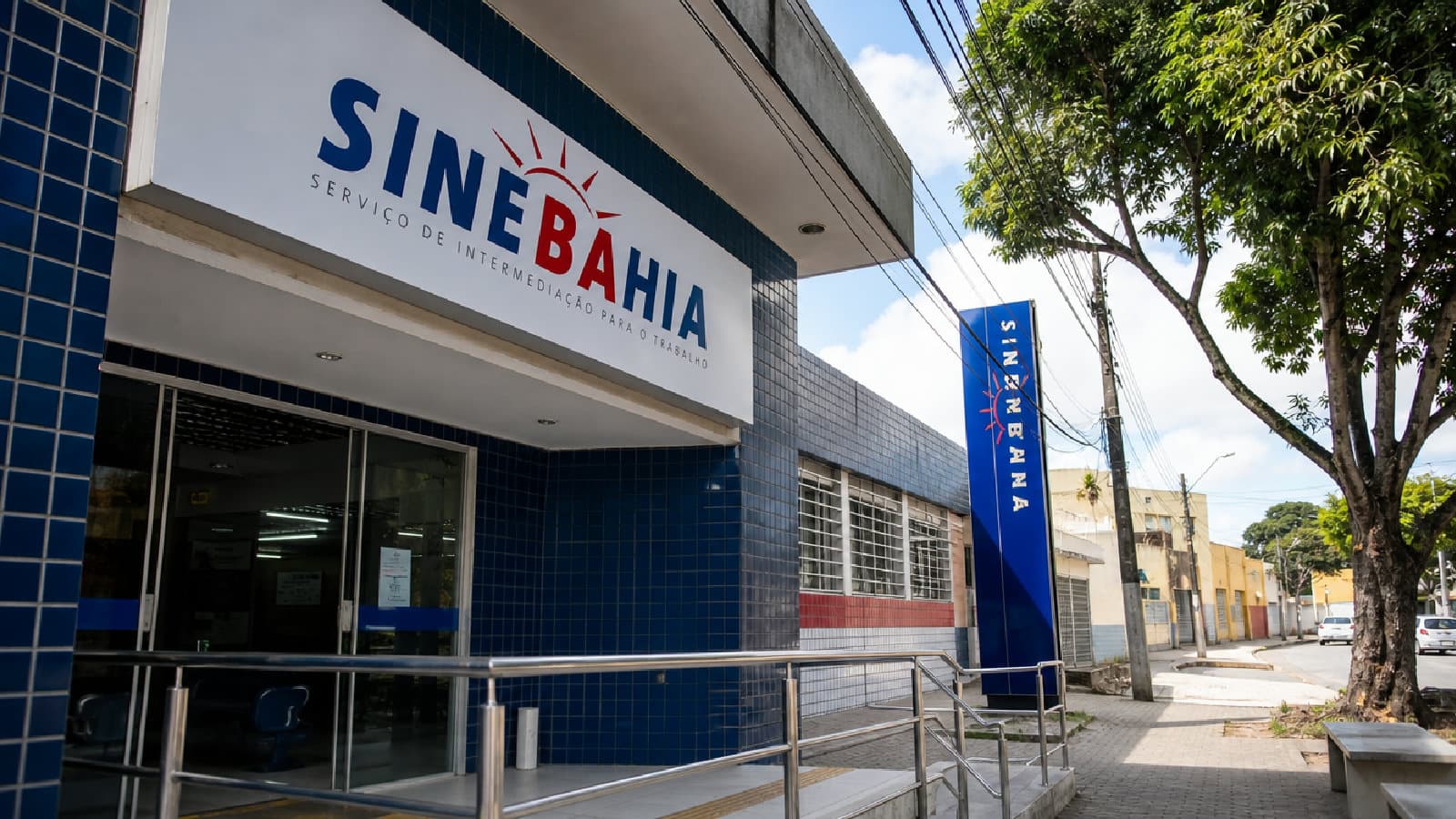 Portal ChicoSabeTudo