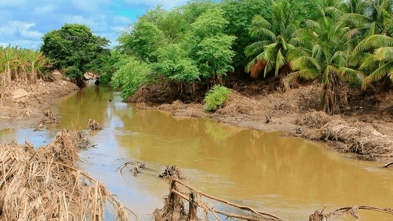 Canudos: MPF apura sumiço de 550 cestas para vítimas da chuva