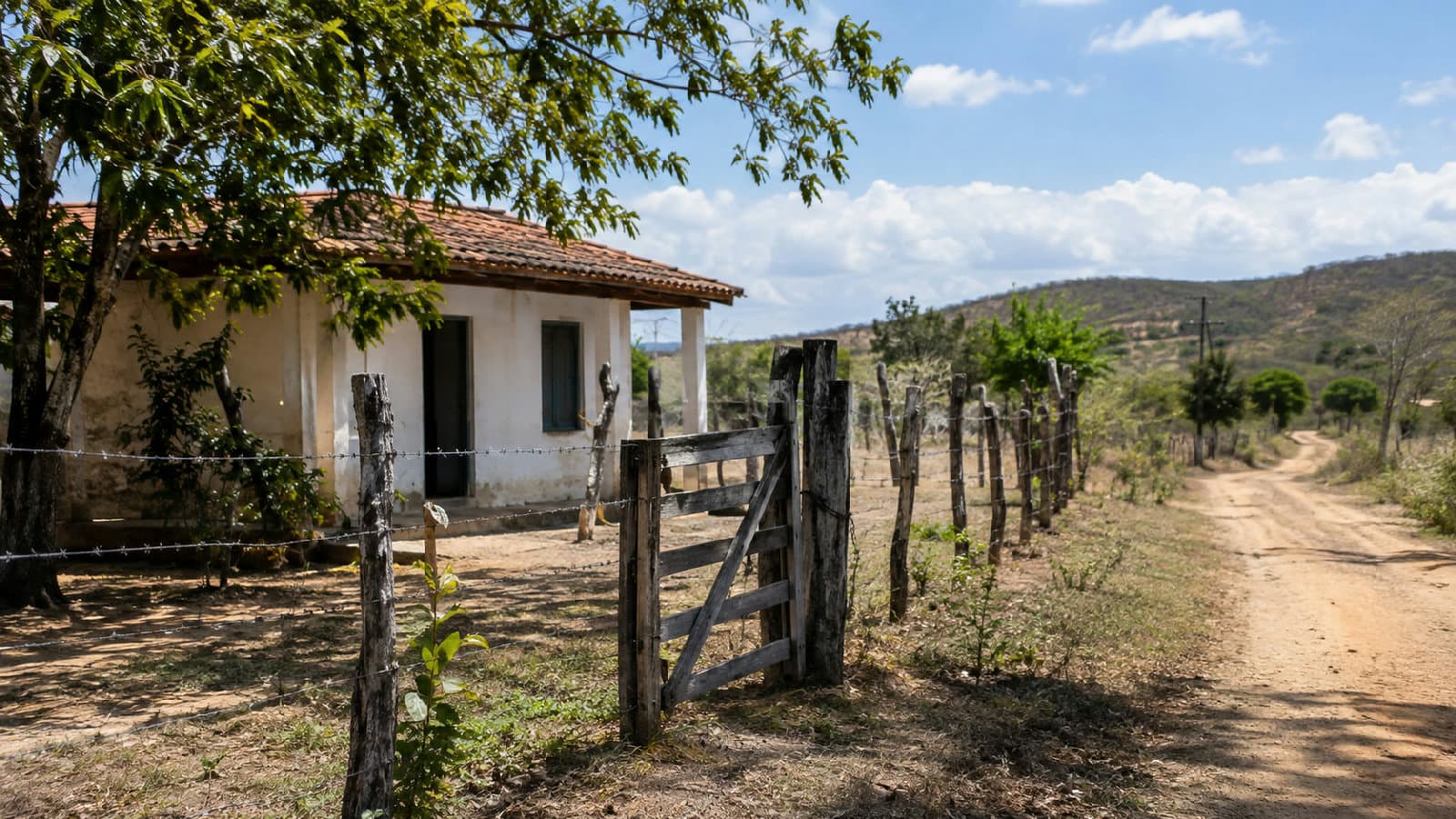 Portal ChicoSabeTudo