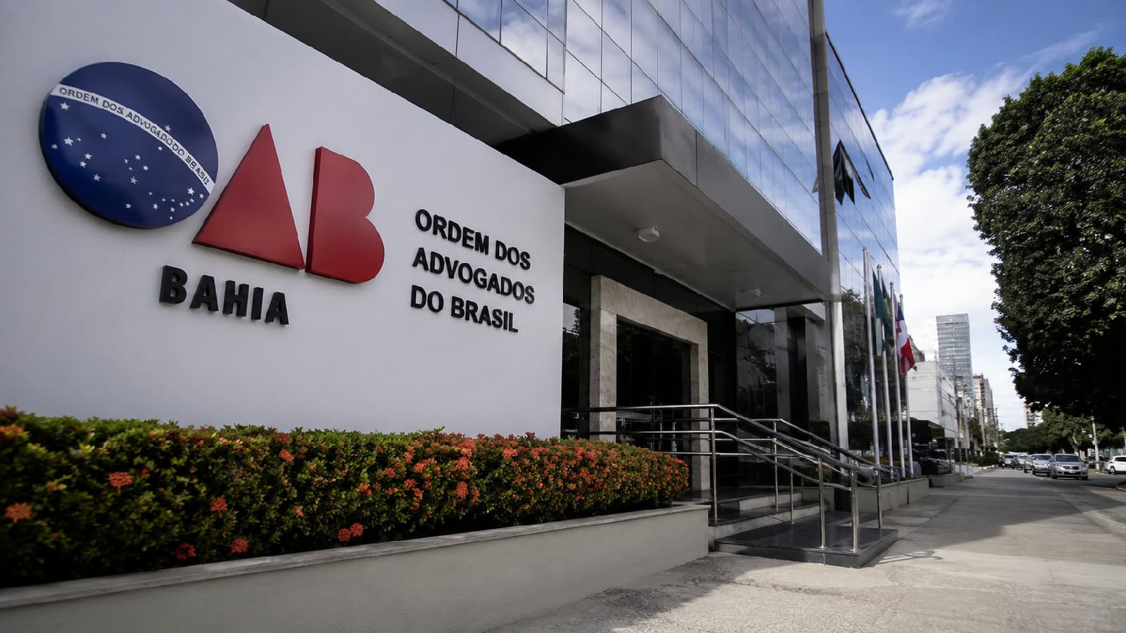 Portal ChicoSabeTudo