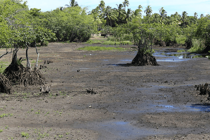 Área rural da Bahia atingida pela estiagem, com solo seco e vegetação ressecada
