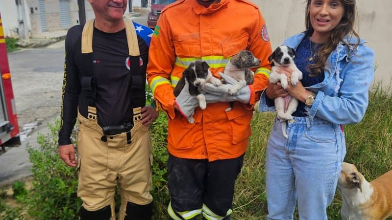 Bombeiros militares do CBMSE em operação de resgate de animais no interior de Sergipe