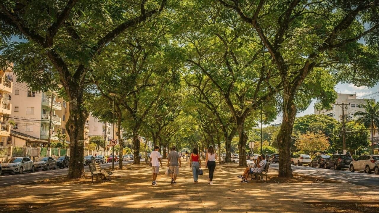 Árvores urbanas promovem saúde mental e valorização econômica - Imagem criada por inteligência artificial (ChatGPT / Olhar Digital)