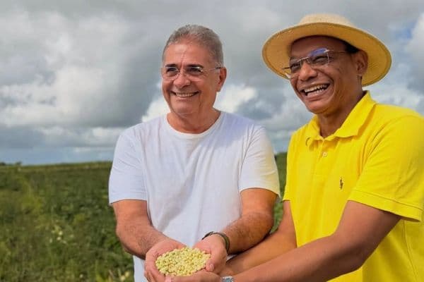 Colheita de feijão do Projeto Comida na Mesa em São Miguel dos Campos, Alagoas