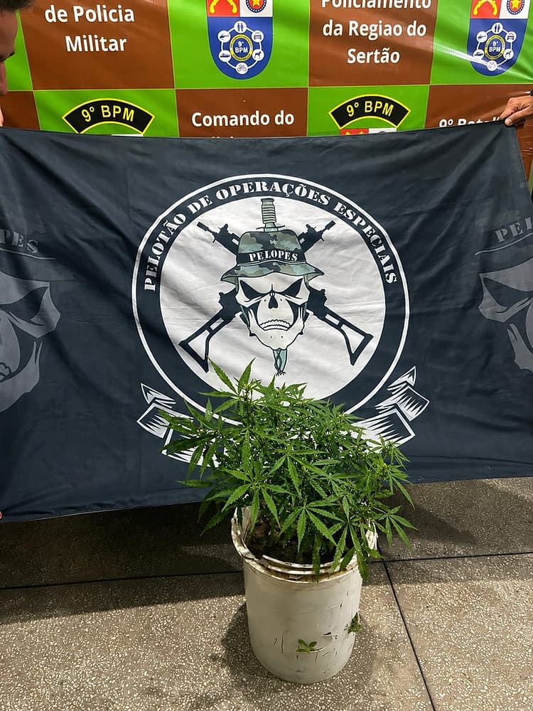 Viatura da Polícia Militar em operação no Alto Sertão de Alagoas