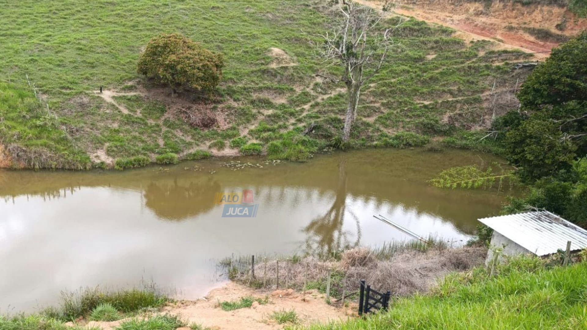 Foto: Reprodução / Alô Juca. Autoria original não informada na fonte.