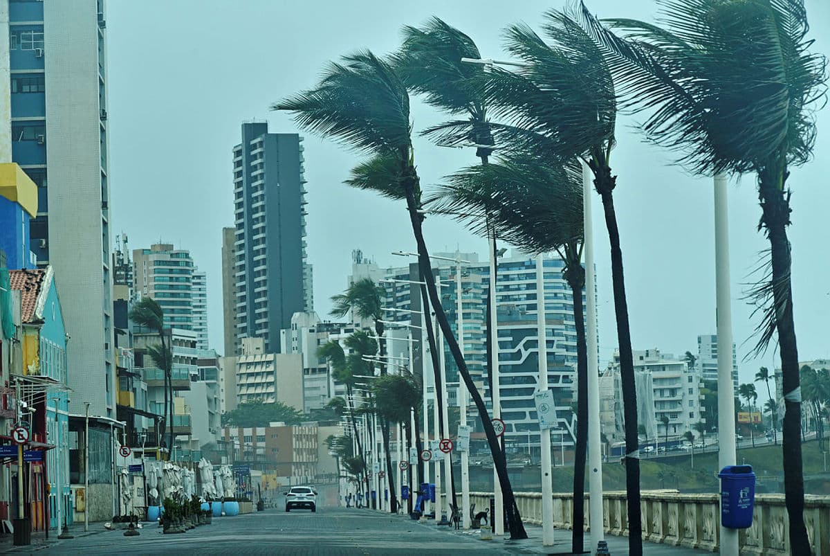 Céu nublado com árvores balançando ao vento em alerta de vendaval na Bahia