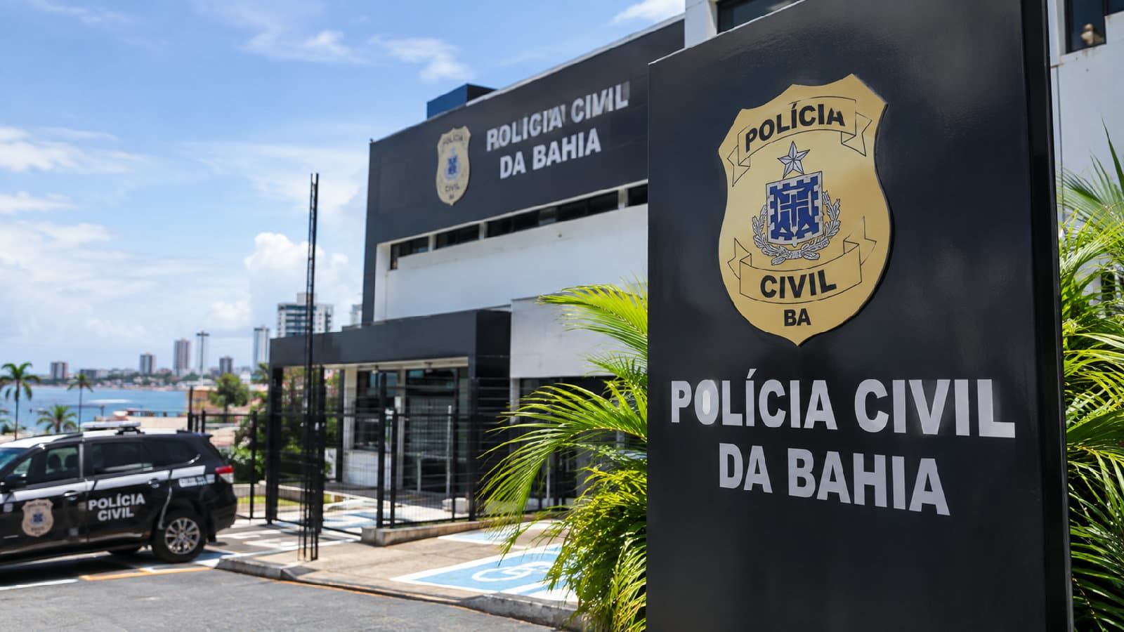 Portal ChicoSabeTudo