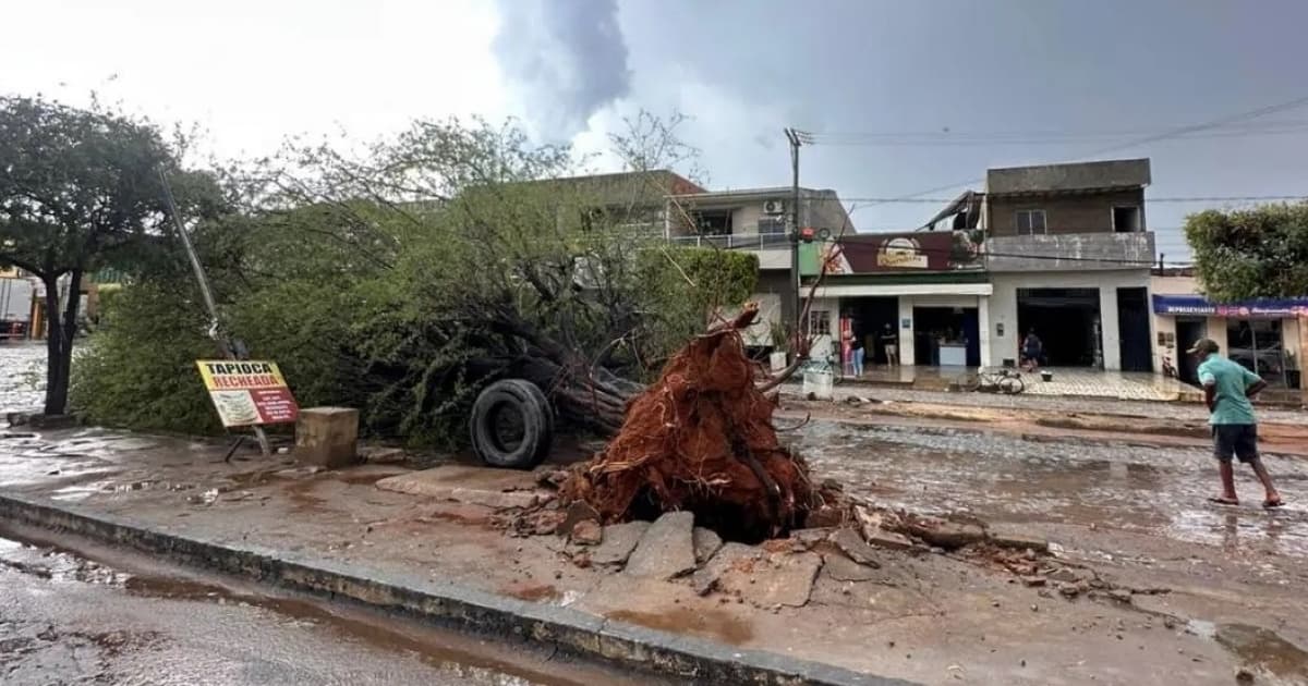 Foto: Reprodução / Portal Velho Chico News