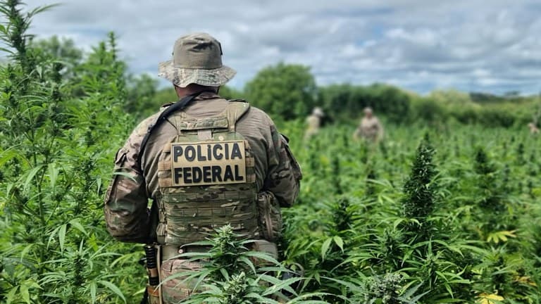 Agentes da Polícia Federal durante operação de combate ao tráfico de drogas no Nordeste