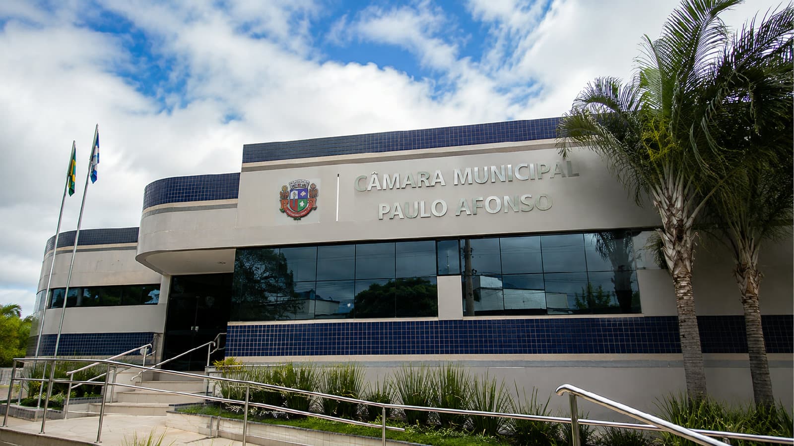 Portal ChicoSabeTudo