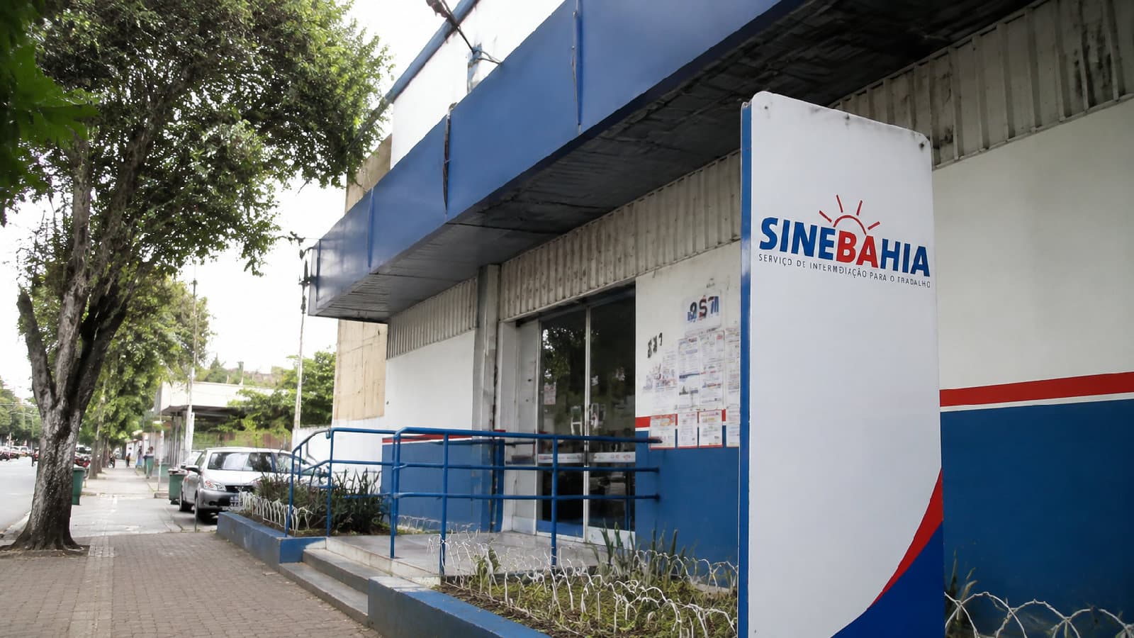 Portal ChicoSabeTudo