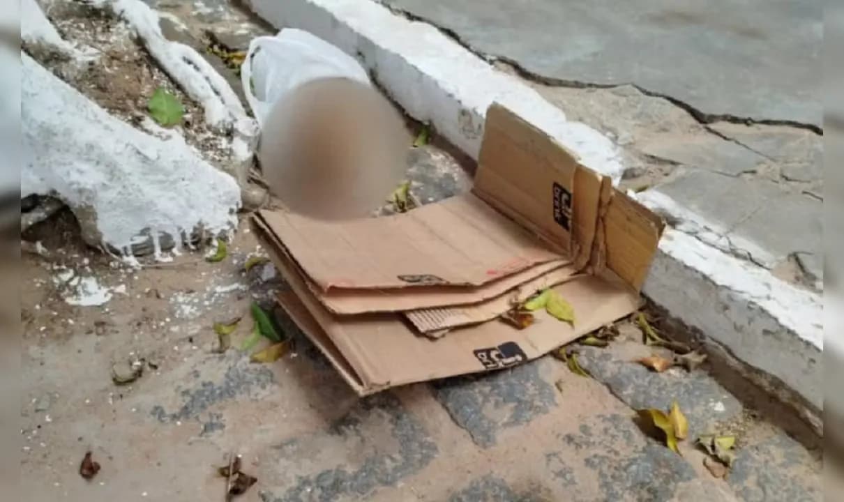 Crânio foi encontrado em cidade da Bahia; polícia investiga furto em cemitério.