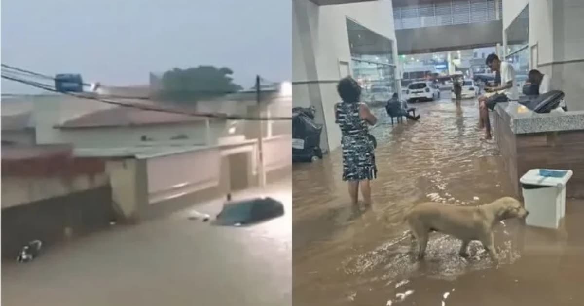Foto: Reprodução / Portal do Cerrado
