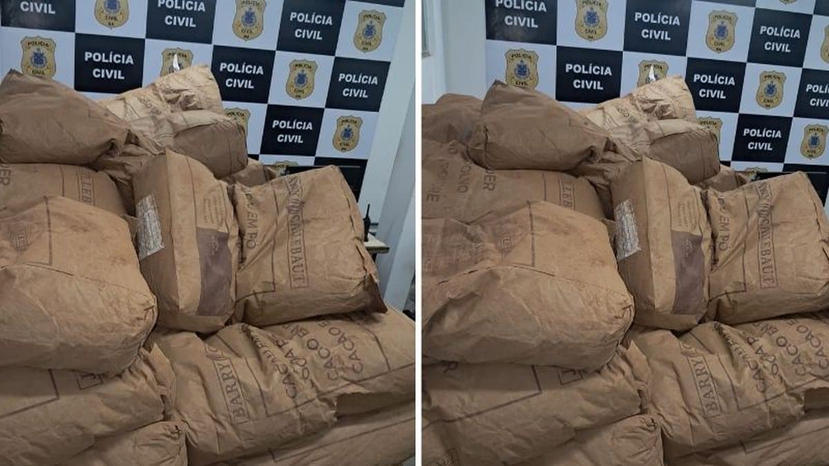 Sacos de pó de cacau apreendidos pela Polícia Civil da Bahia em operação em Itabuna