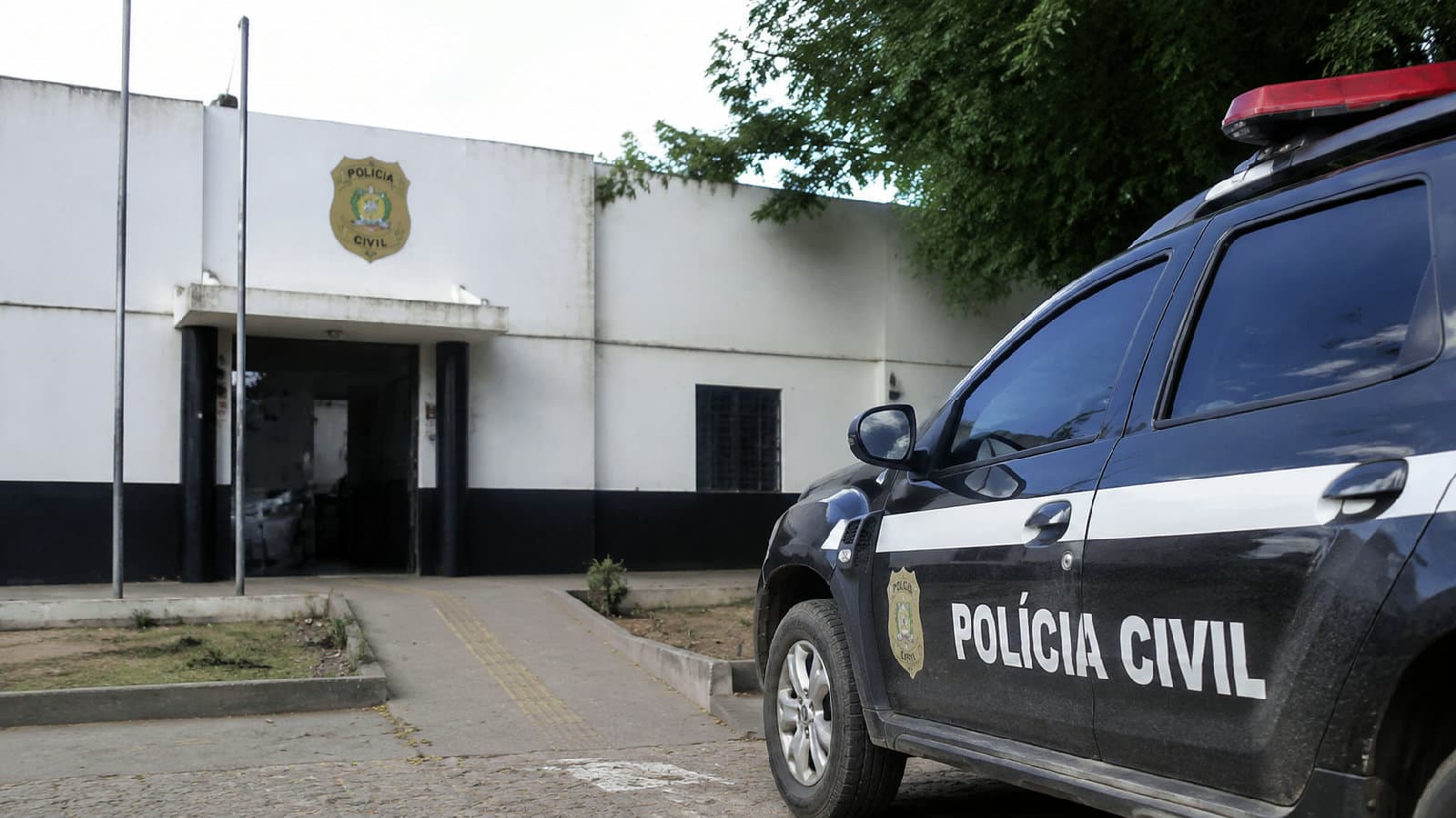 Portal ChicoSabeTudo