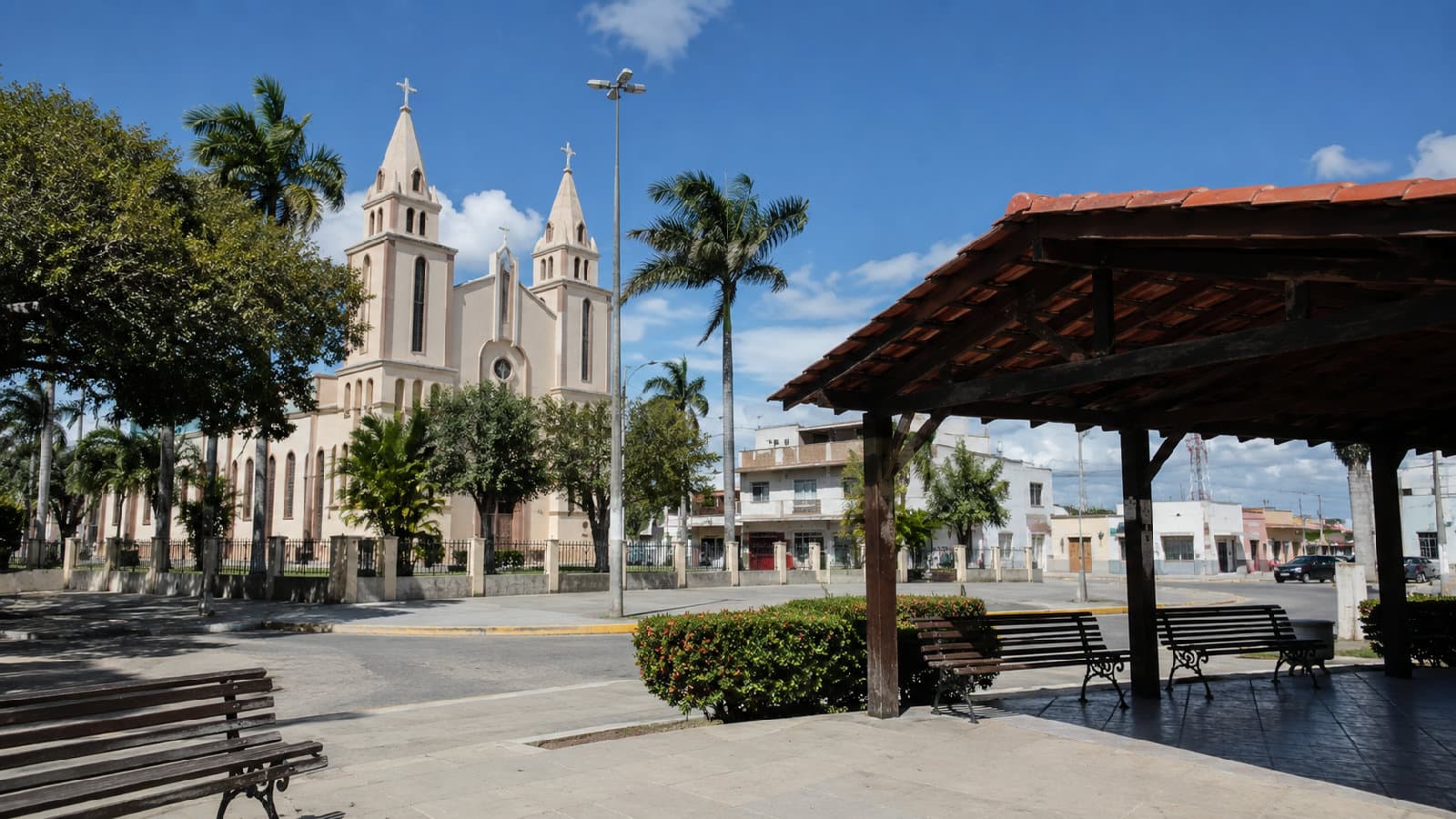 Portal ChicoSabeTudo