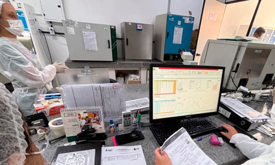 Profissional de laboratório analisa amostras para diagnóstico de esporotricose em Sergipe