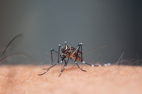 Agente de saúde realizando vistoria em residência para combate ao Aedes aegypti