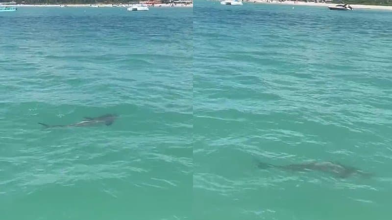 Mar de Maragogi com águas cristalinas e barcos ao fundo, no litoral norte de Alagoas