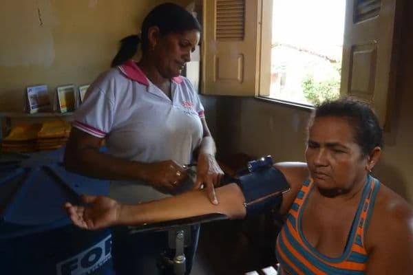 Animais silvestres sendo soltos em área de Mata Atlântica em Alagoas pelo Cetas