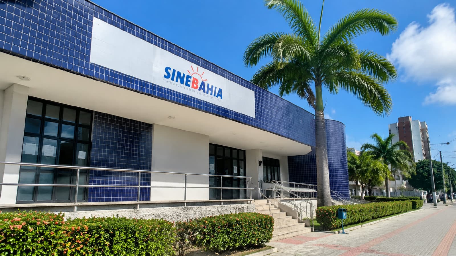 Portal ChicoSabeTudo