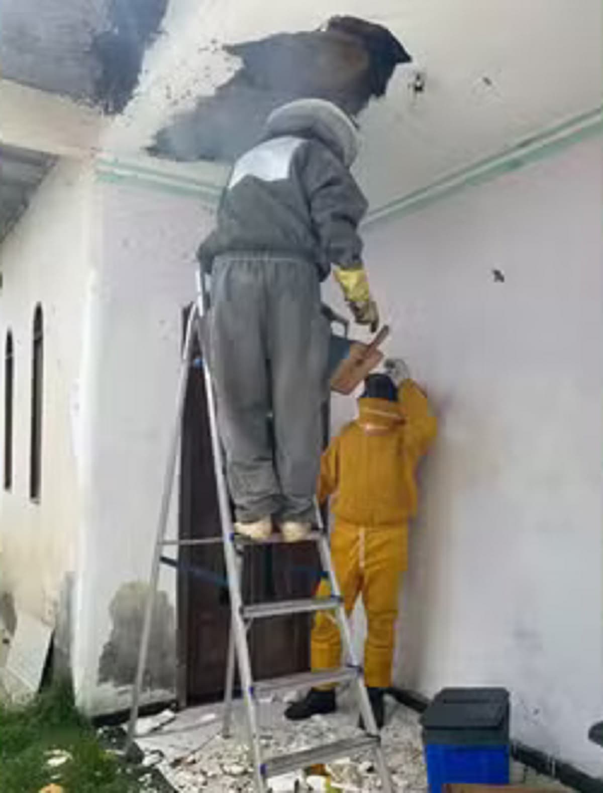 Equipe da Brigada Voluntária Anjos Jacuipenses com equipamentos de proteção durante contenção de enxame de abelhas em residência de Riachão do Jacuípe