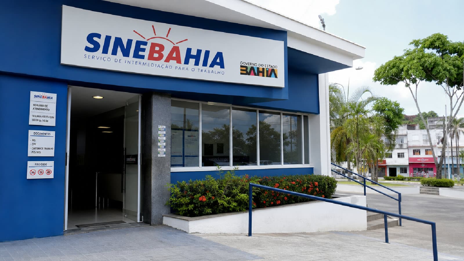 Portal ChicoSabeTudo