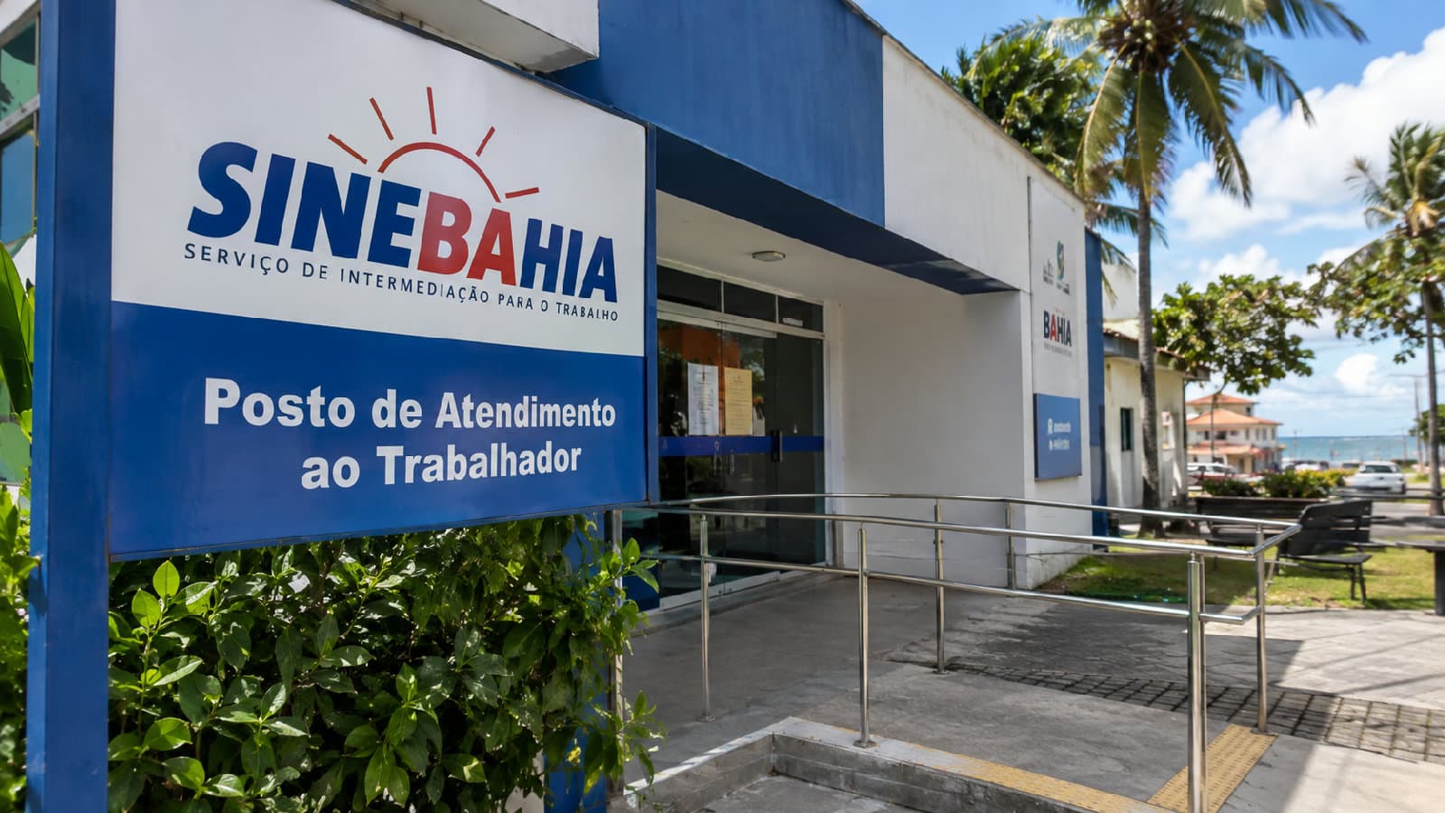 Portal ChicoSabeTudo