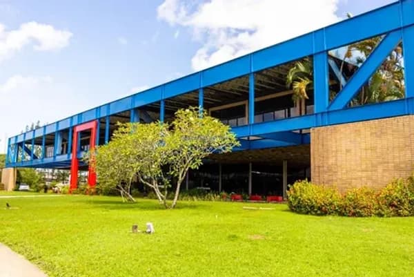Carteira Nacional de Habilitação (CNH) sobre mesa com documentos de trânsito