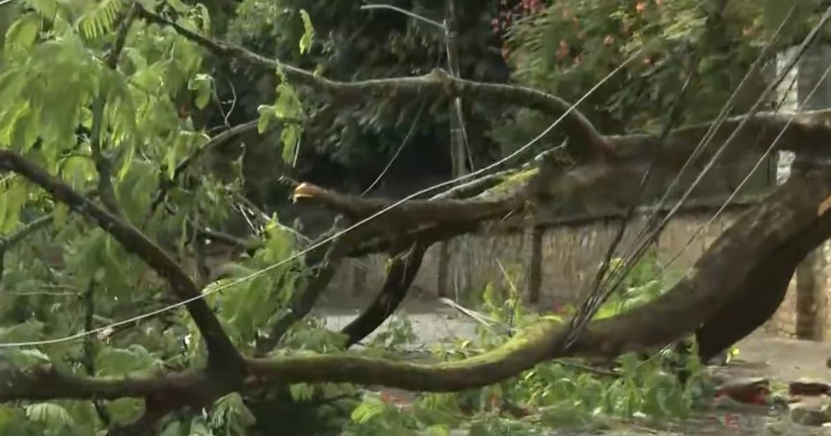 Foto: Reprodução / TV Bahia
