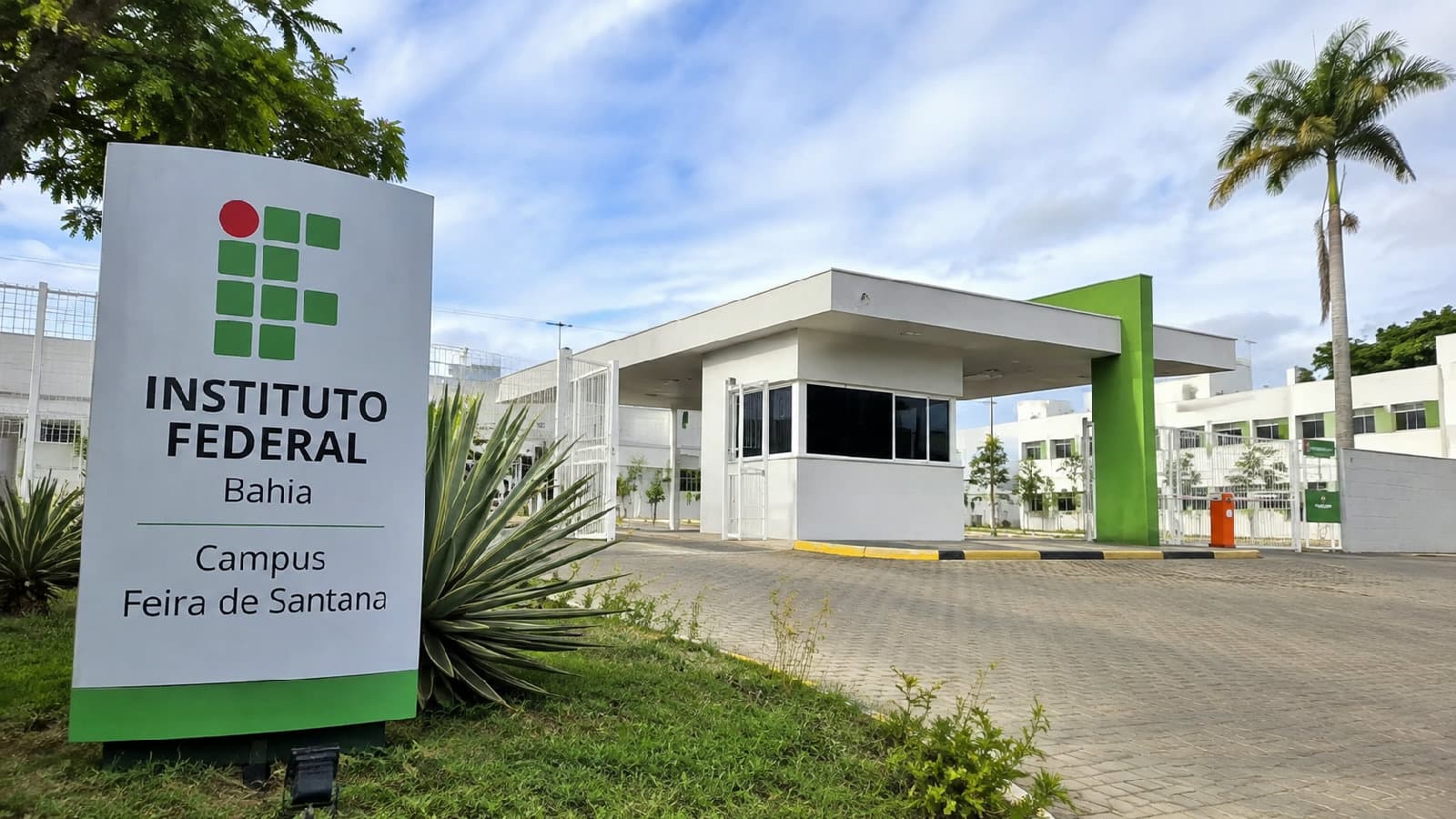 Portal ChicoSabeTudo