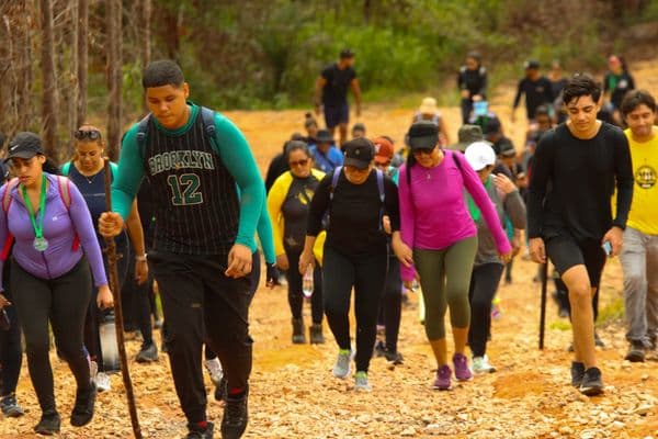 Grupo de pessoas caminhando em trilha na natureza entre árvores e vegetação verde