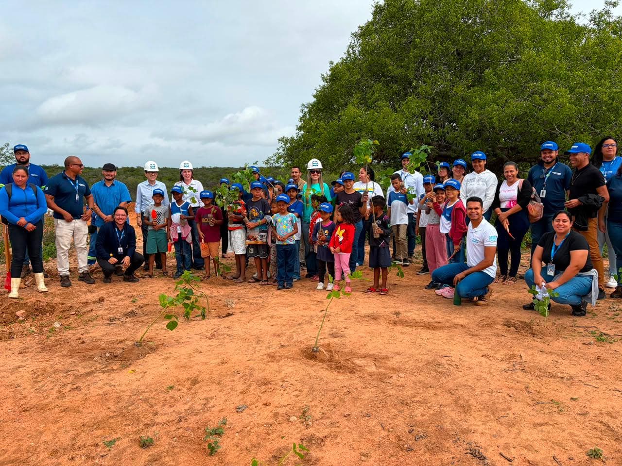 Plantio de mudas nativas da Caatinga no Povoado Cruz, em Delmiro Gouveia (AL)