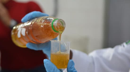 Potes de mel sobre superfície de madeira, representando alimento que pode ser adulterado ou contaminado