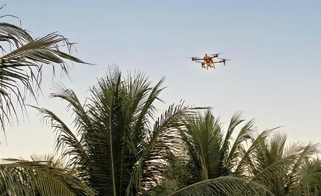 Drone agrícola sobrevoando plantação de coqueiros durante demonstração técnica