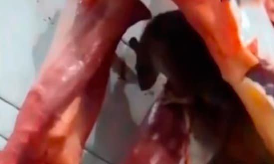 Bancas de carne em mercado municipal com exposição a condições irregulares