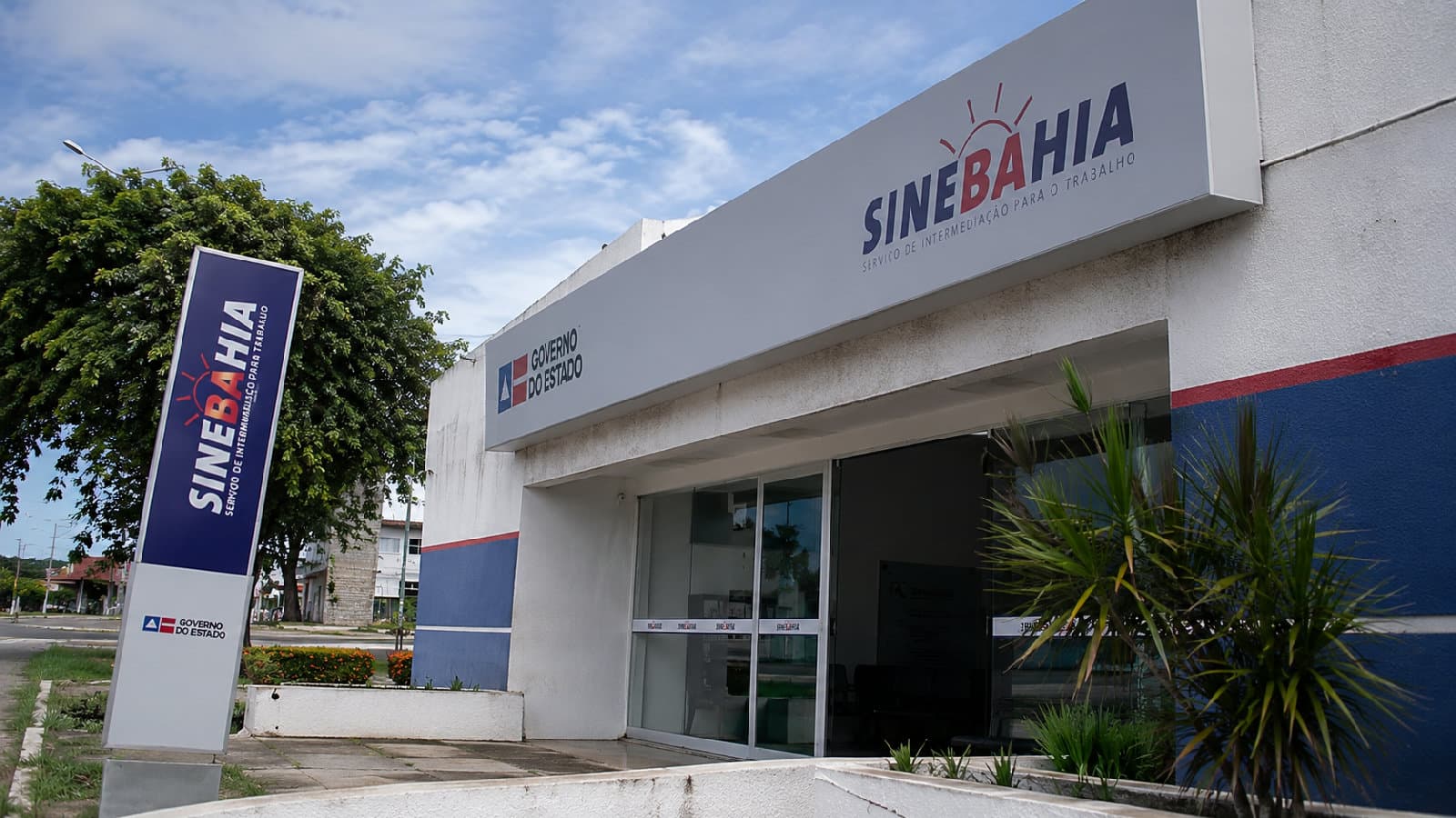 Portal ChicoSabeTudo