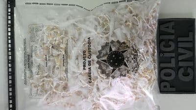 Pedras de crack apreendidas pela Polícia Civil em Ibicuí, Bahia