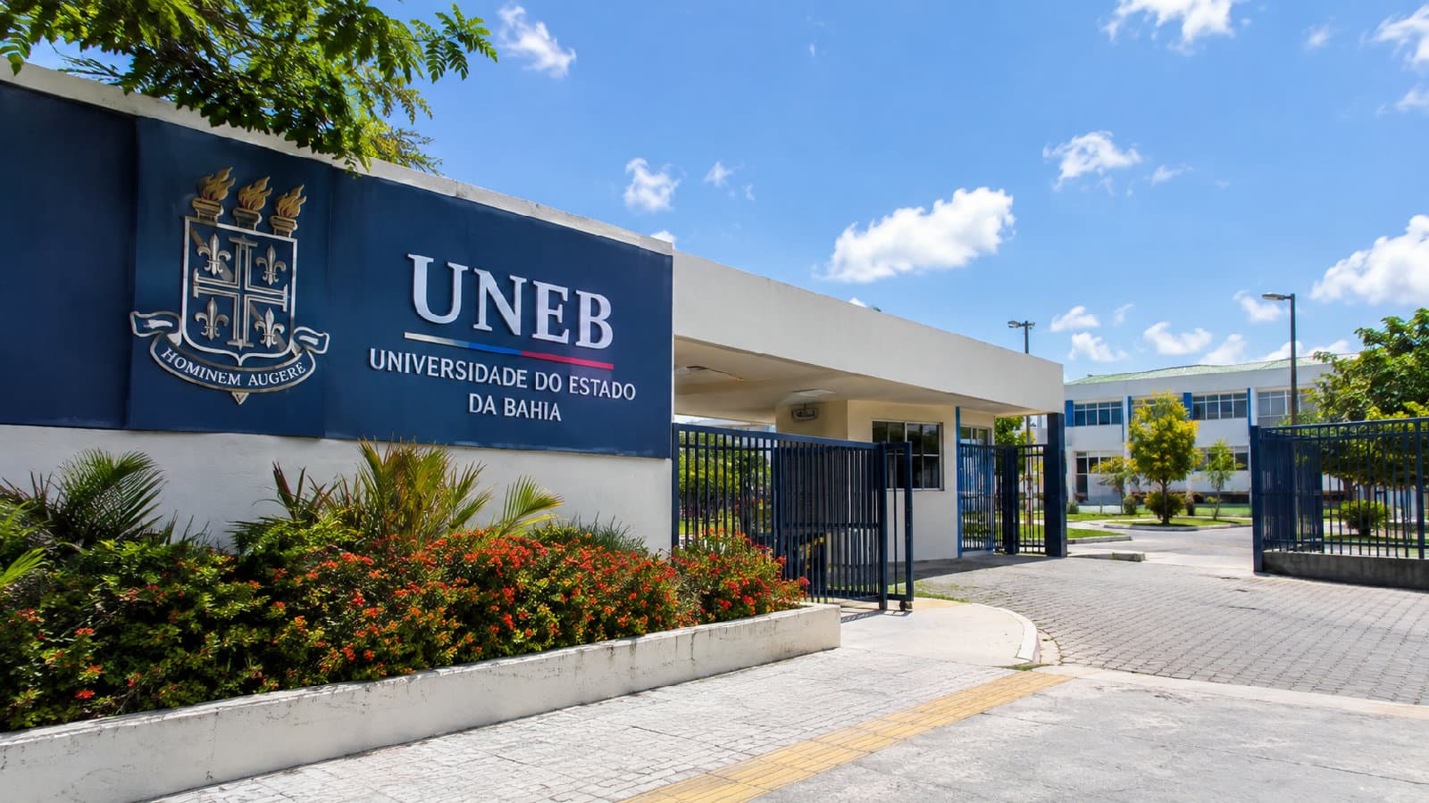 Portal ChicoSabeTudo