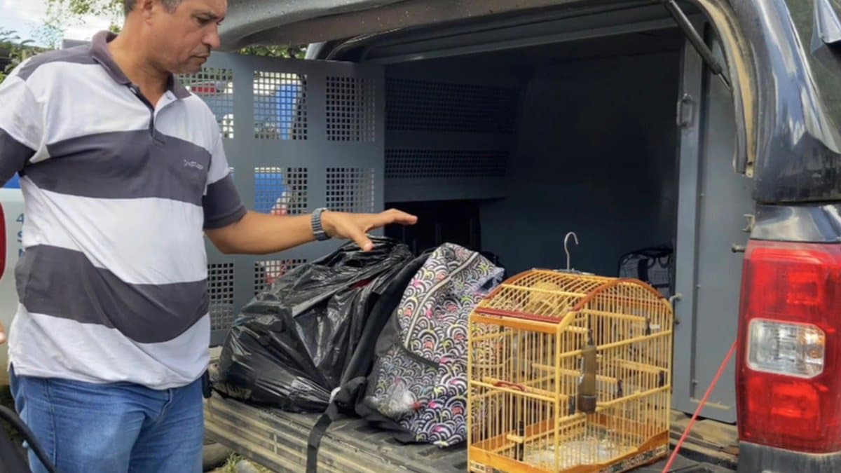 Drogas apreendidas pela Polícia Civil durante operação em Cruz das Almas