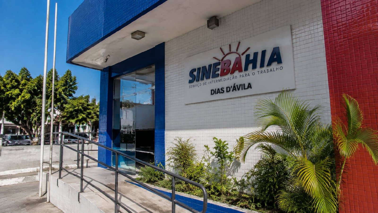 Portal ChicoSabeTudo