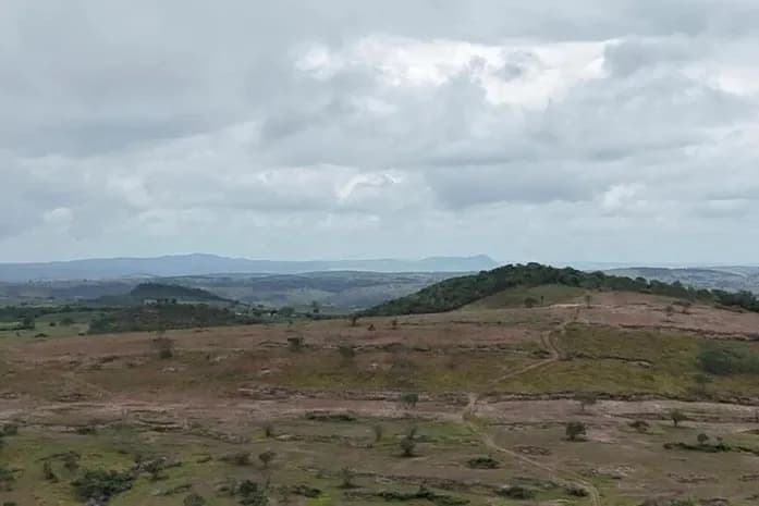 Área de Caatinga desmatada em Alagoas com vegetação nativa destruída