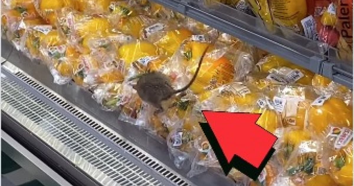Expositor de hortaliças em supermercado com presença de roedor flagrada por clientes em Salvador