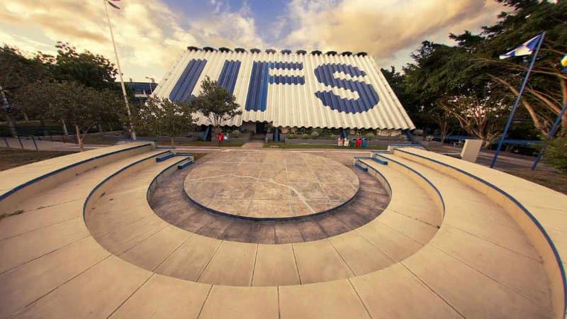 Gatos comunitários no campus da Universidade Federal de Sergipe, em São Cristóvão