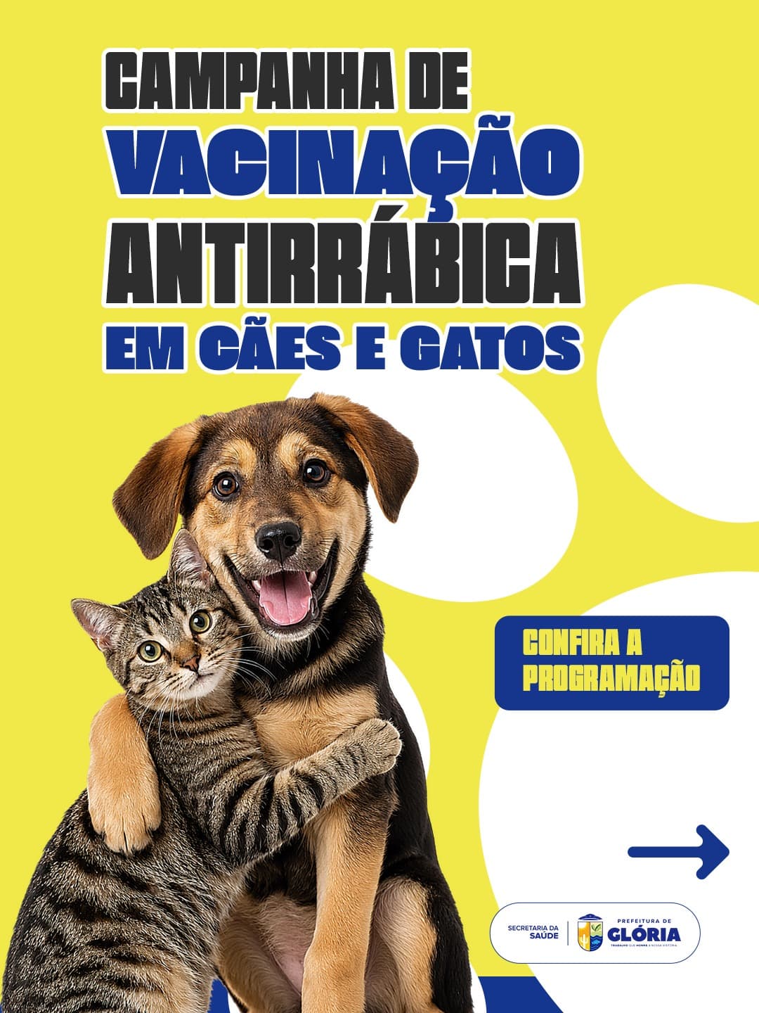 Glória inicia Campanha de Vacinação Antirrábica para cães e gatos a partir de terça (21)